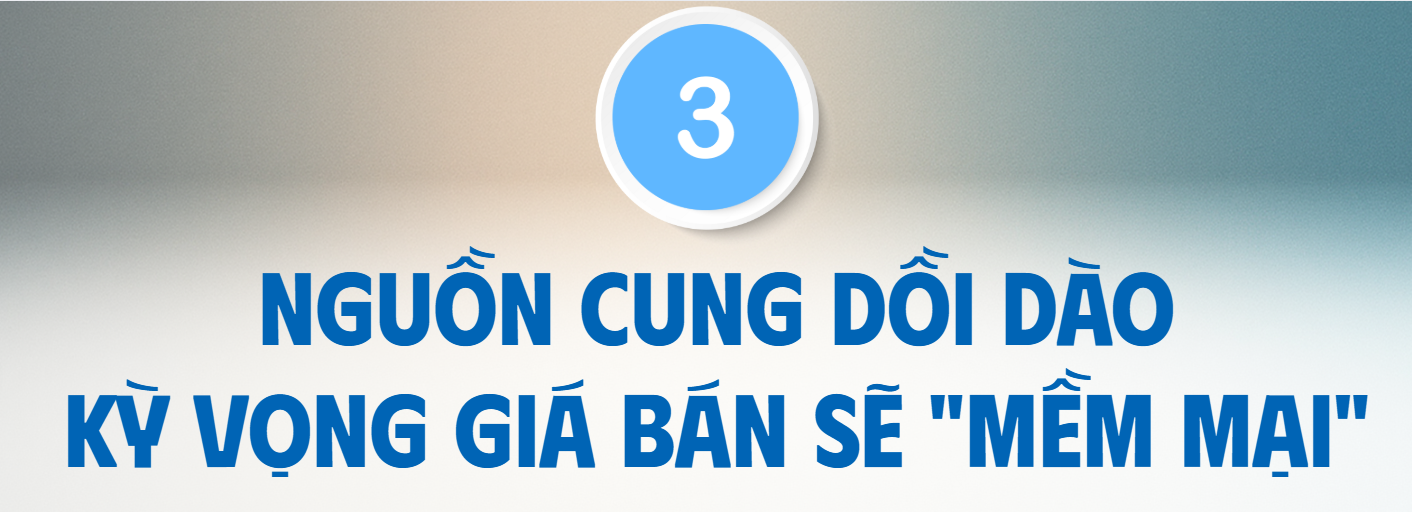 Nghịch lý giá chung cư Hà Nội cao kỷ lục, thanh khoản rất tốt nhưng khó xác định thực chất đến từ đâu? - Ảnh 7