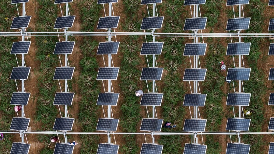 Từ câu chuyện kỳ tích đến hồi kết đắng: Trung Quốc đang đối mặt với khủng hoảng dư cung tồi tệ nhất trong lịch sử ngành năng lượng mặt trời - Ảnh 3