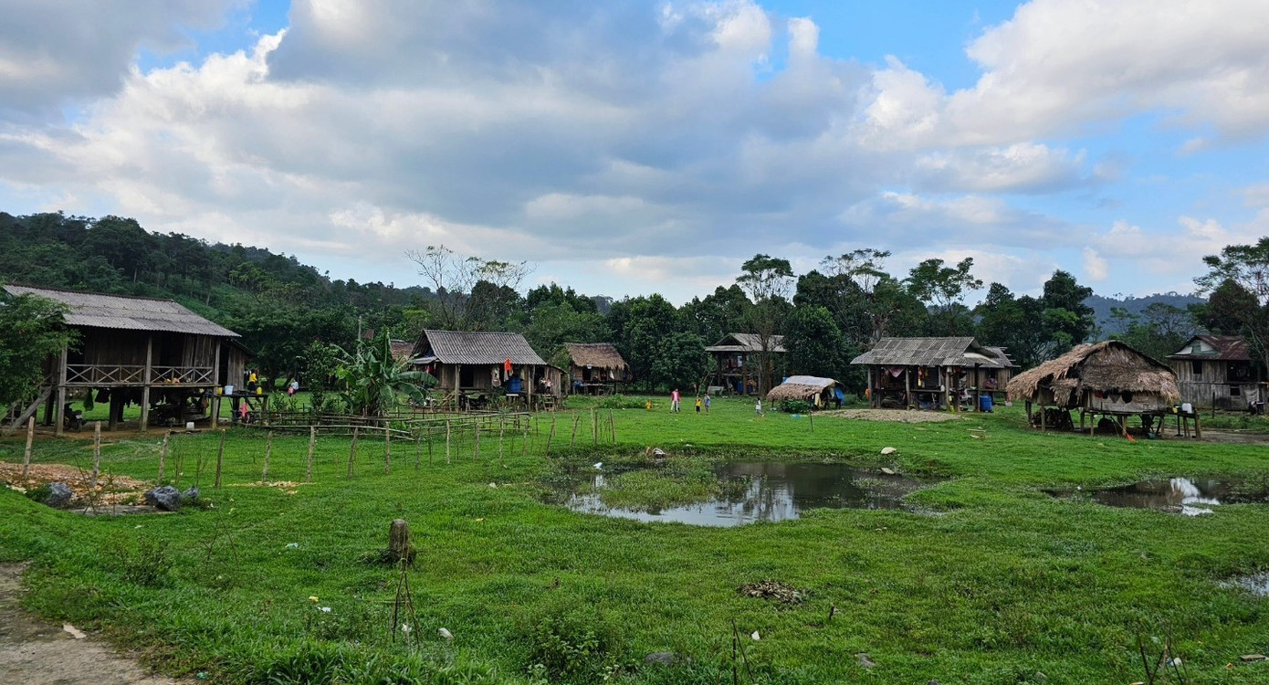 Quảng Trị xử lý thế nào với hơn 14.600 ha rừng bị chồng lấn, lấn chiếm? - Ảnh 2