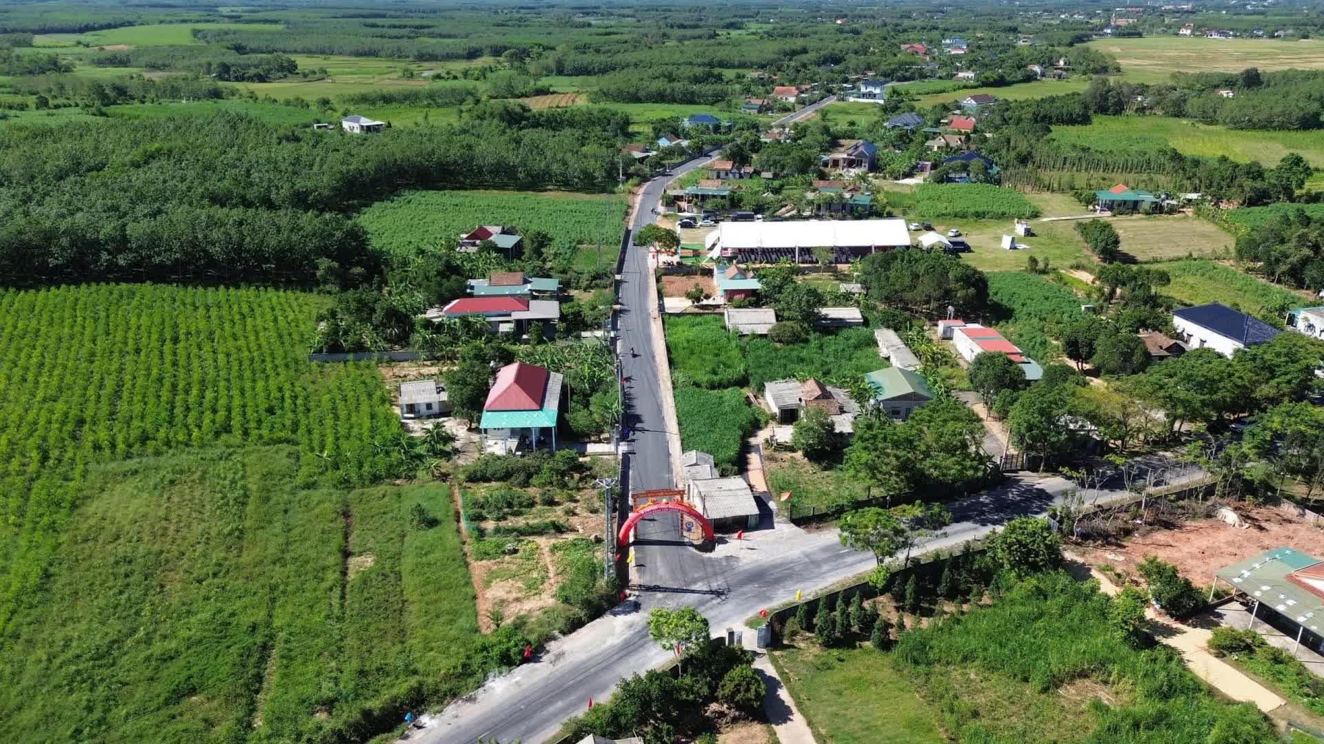 Con đường 12.000 tỷ đồng, dài 3,2km, 'thần tốc' thi công chỉ 20 ngày: Tập đoàn Sơn Hải tài trợ 100% vốn - Ảnh 1