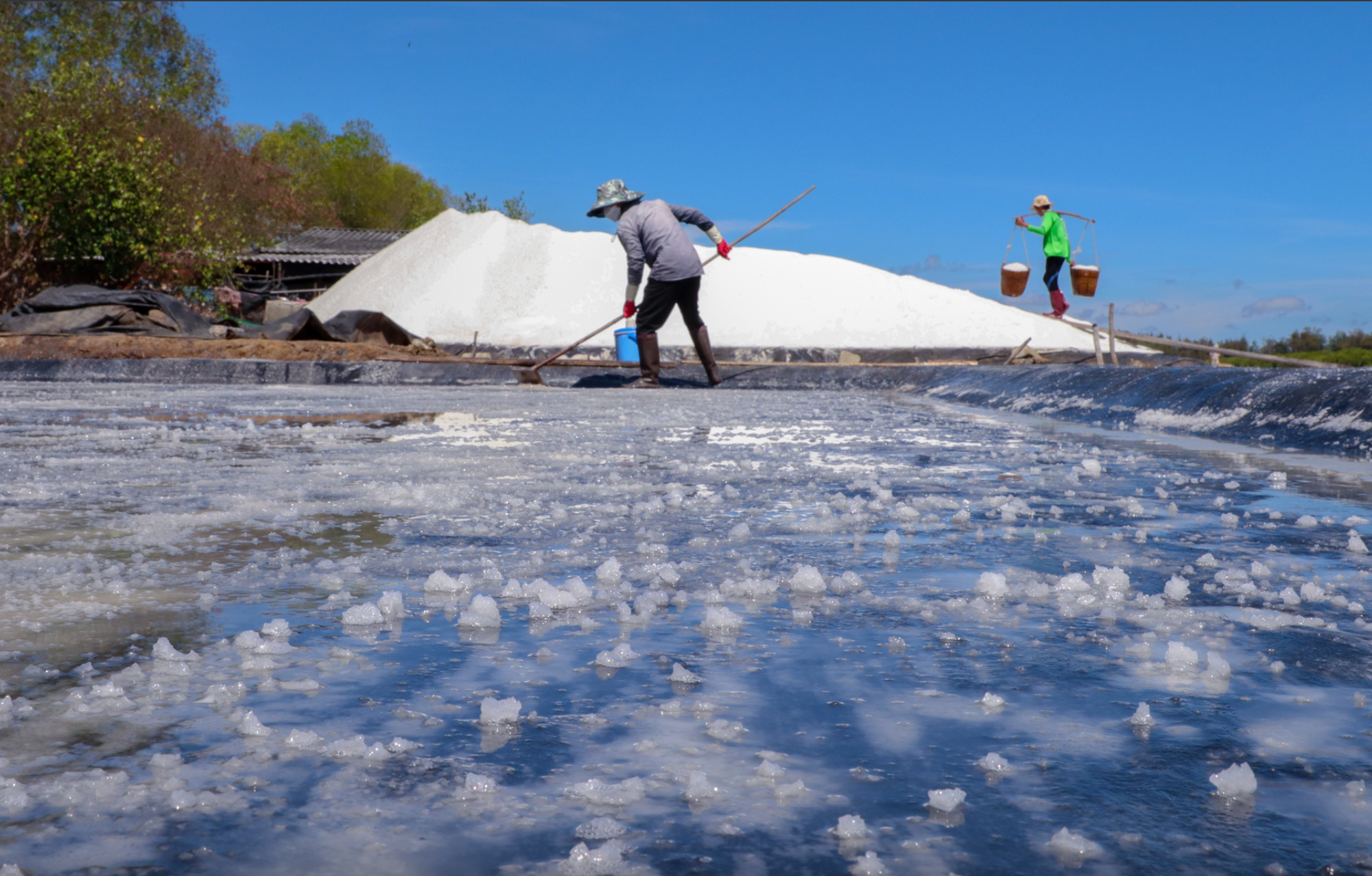 Toàn cảnh 5 con đường đi từ TP.HCM đến dự án hơn 9 tỷ USD của tỷ phú Phạm Nhật Vượng - Ảnh 5