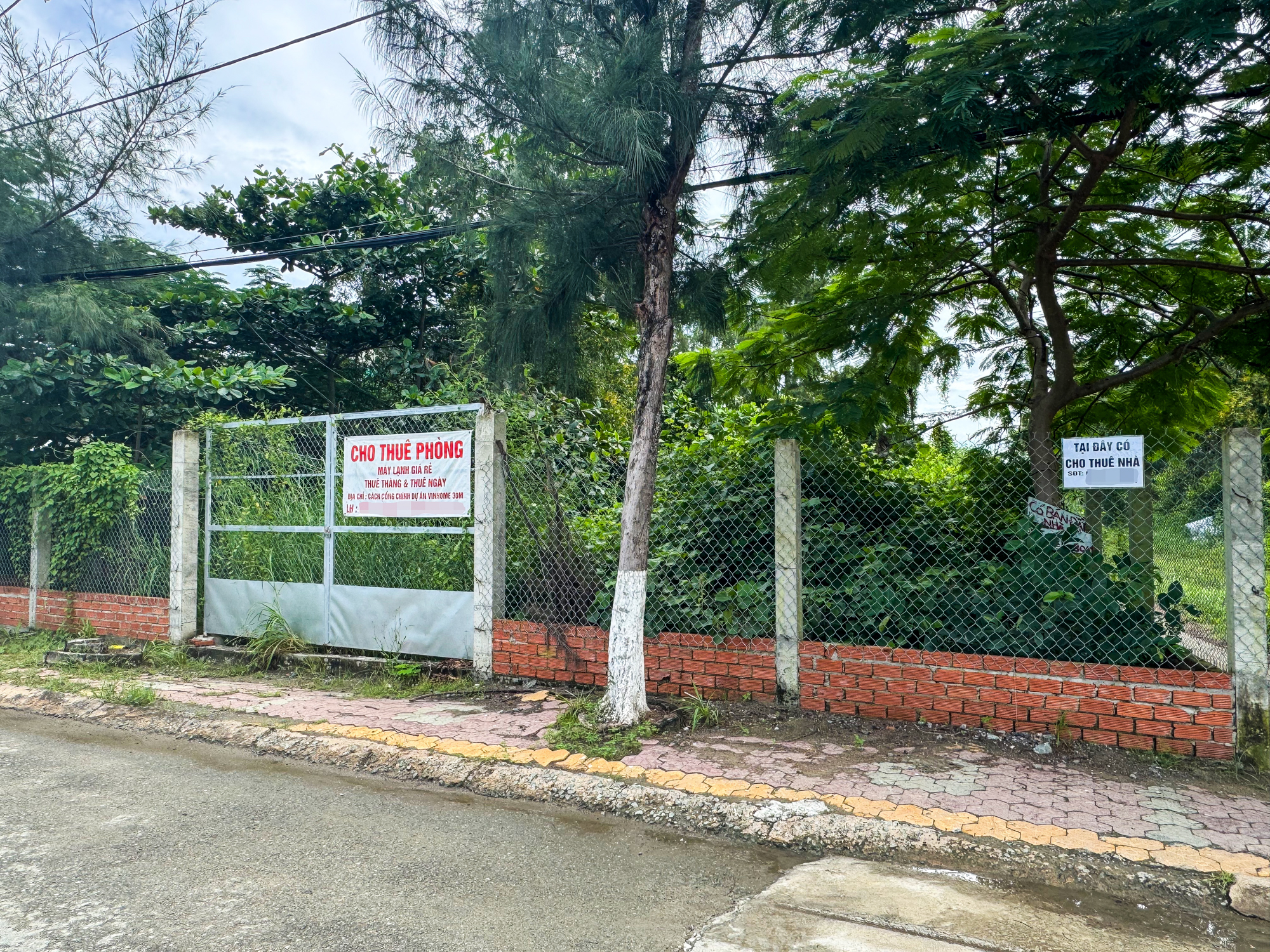 Môi giới dồn dập đổ về Vinhomes Cần Giờ trước trận đánh lớn, nhà nghỉ - khách sạn cháy phòng, giá thuê nhà tăng đột biến - Ảnh 6