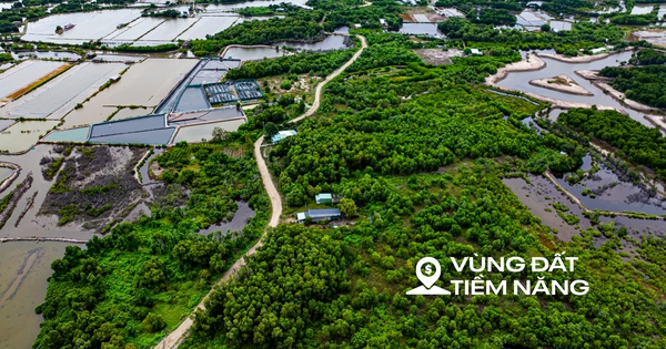 Hòn đảo chỉ cách trung tâm Vũng Tàu 3 km từng được đề xuất làm sân bay, nay có thể trở thành khu đô thị mới của Sun Group