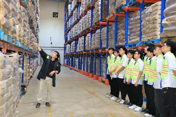 Dự kiến hàng loạt trường cao đẳng, trung cấp ở TP HCM sẽ bị sáp nhập - Ảnh 1