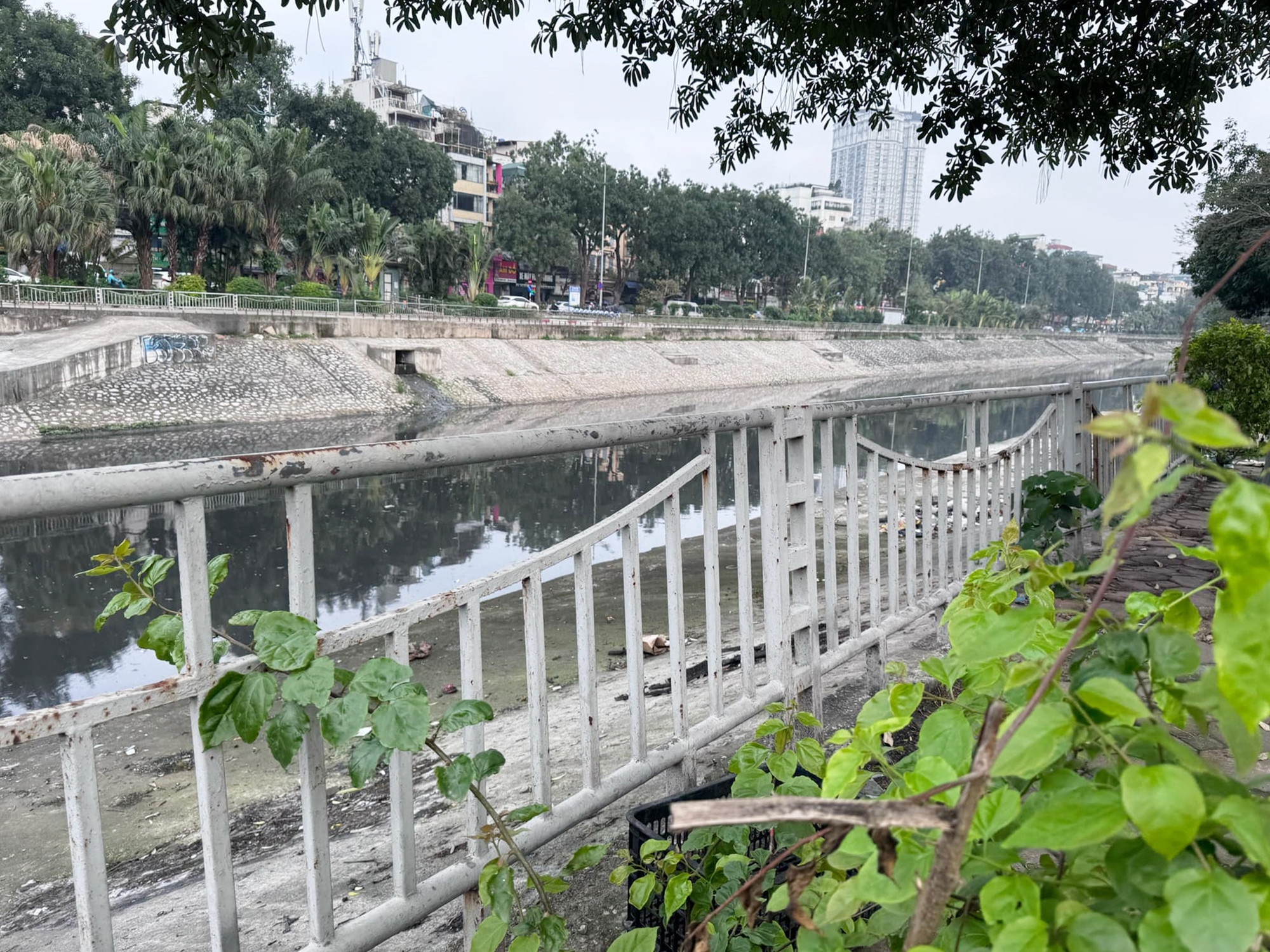 Cảnh choáng ngợp trên con sông hơn 2.000 năm tuổi ở Hà Nội sau khi Tập đoàn top đầu Việt Nam "hồi sinh" - Ảnh 27