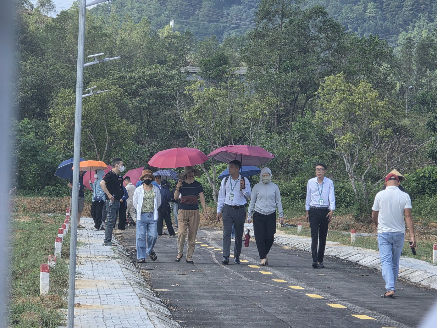 Dựng dự án 'ảo' phân lô bán nền, doanh nghiệp bị phạt hơn nửa tỷ đồng - Ảnh 2