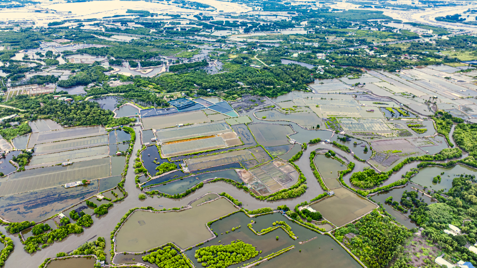 Hòn đảo chỉ cách trung tâm Vũng Tàu 3 km từng được đề xuất làm sân bay, nay có thể trở thành khu đô thị mới của Sun Group - Ảnh 8