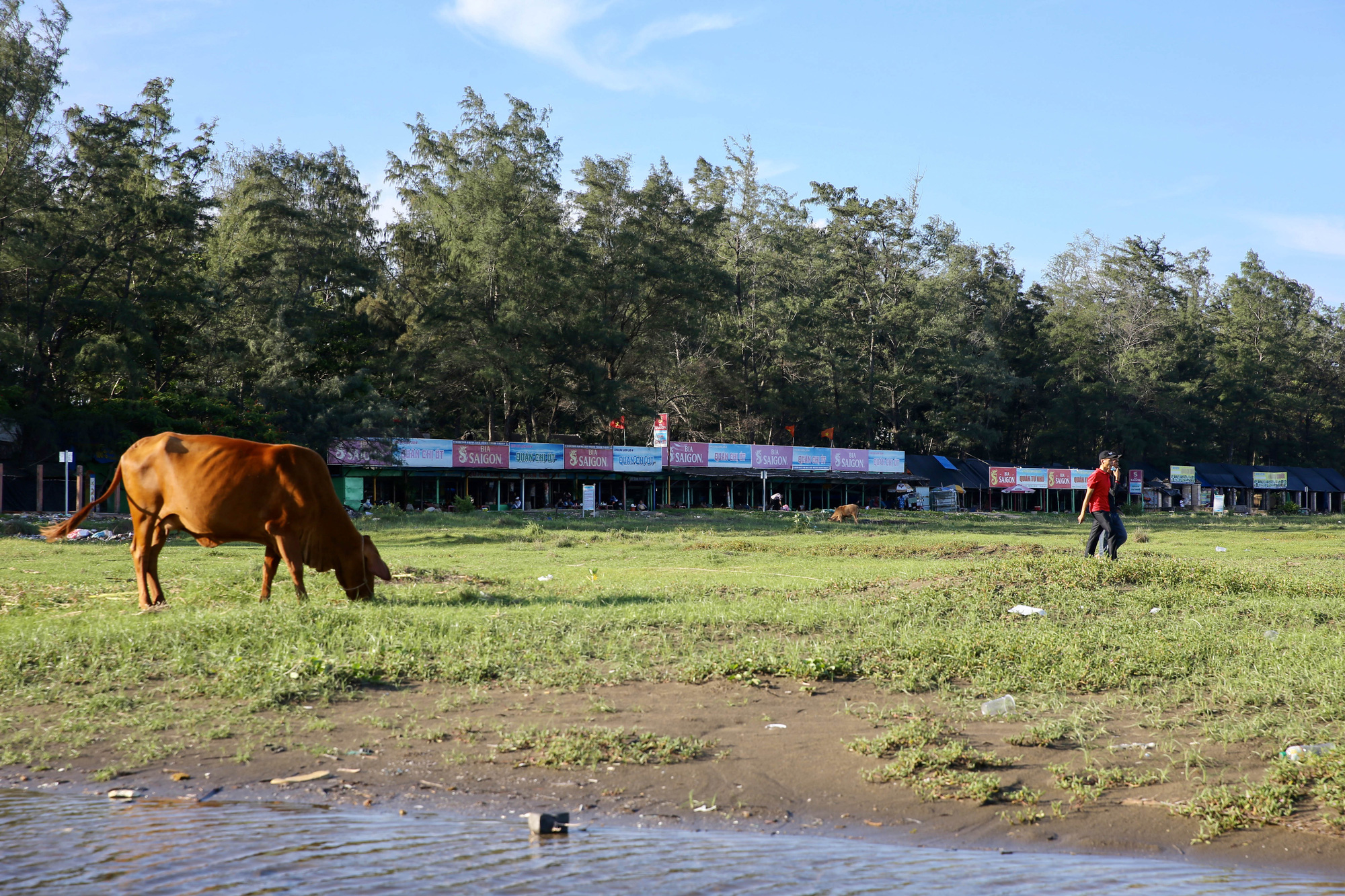 Choáng ngợp cảnh đại công trình 10 tỷ USD của Vingroup sau vài năm nữa, sẽ chạm tay vào "kỷ lục thế giới"? - Ảnh 51