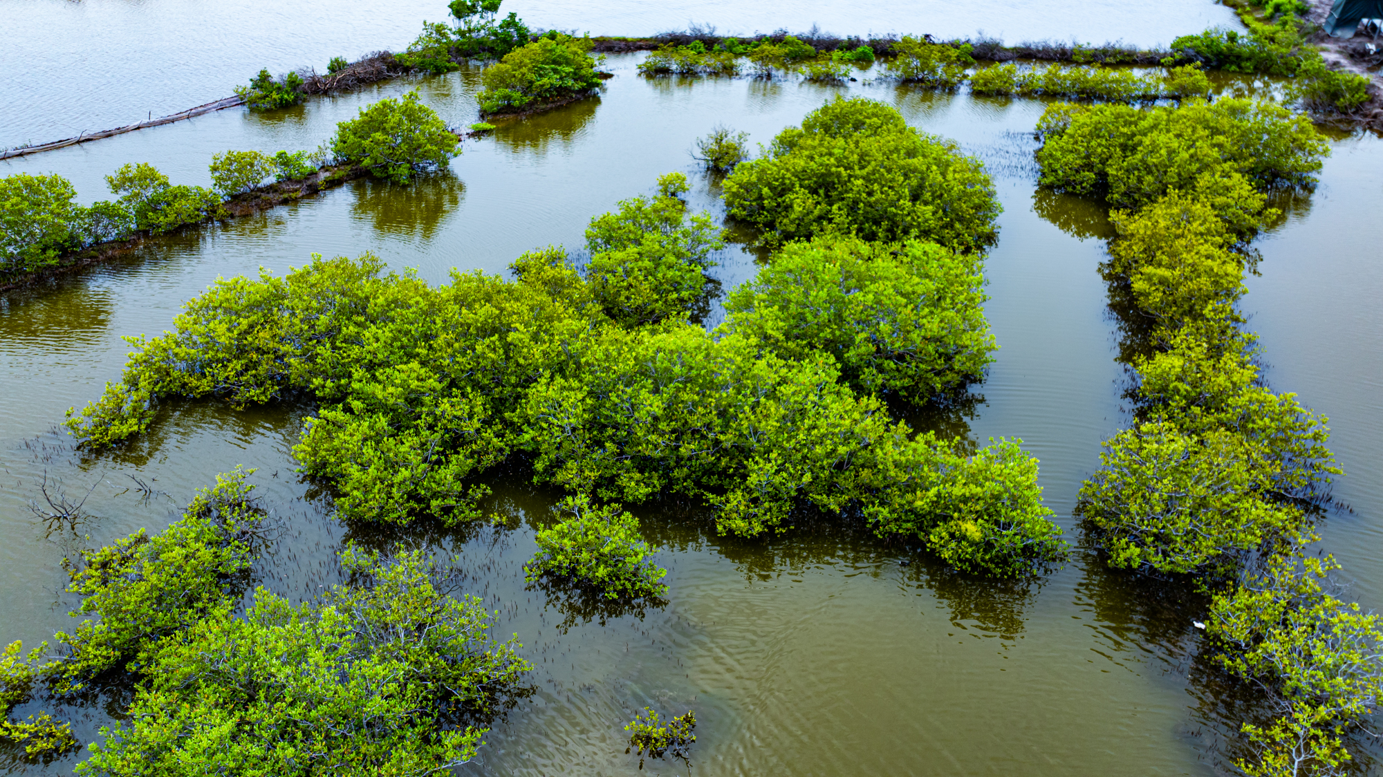 Hòn đảo chỉ cách trung tâm Vũng Tàu 3 km từng được đề xuất làm sân bay, nay có thể trở thành khu đô thị mới của Sun Group - Ảnh 9