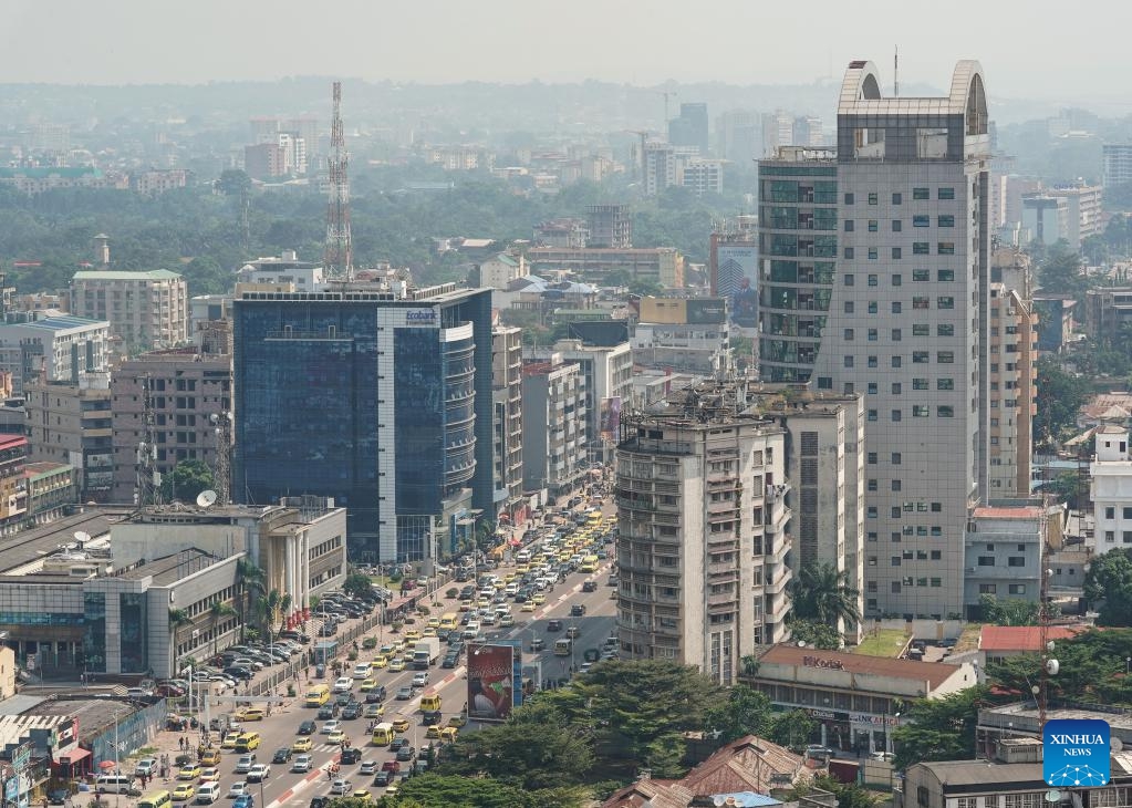 Tổng thống và Thủ tướng Congo bàn chuyện hợp tác với Vingroup - Ảnh 2