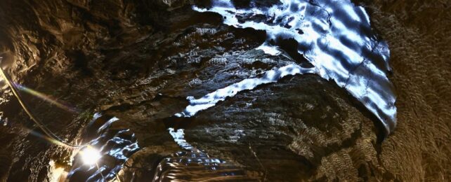 Một thứ 40.000 năm tuổi vừa bị đánh thức dậy - Ảnh 1