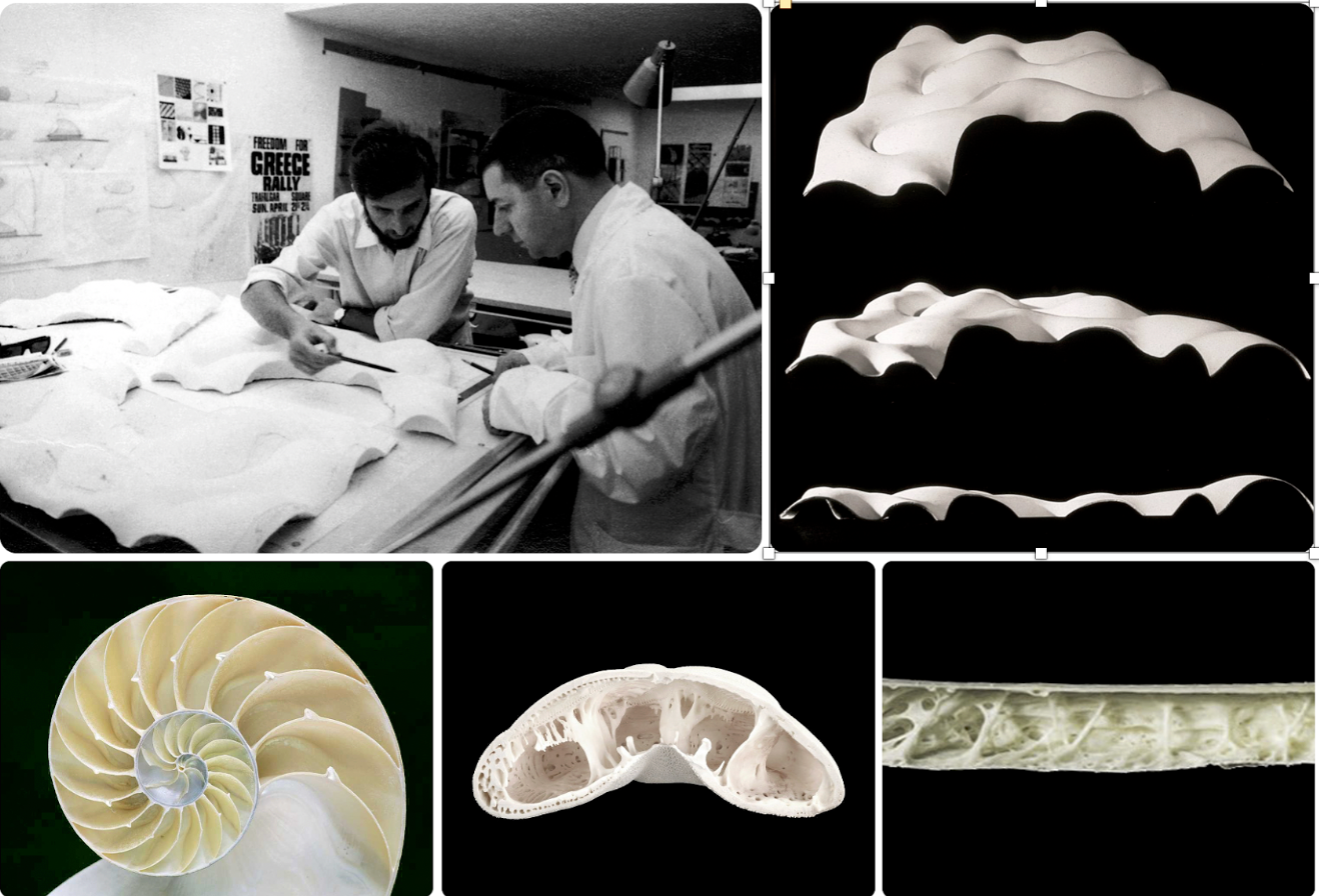 Phối cảnh độc đáo của nhà hát Opera rộng gần 20ha giáp hồ Tây - Ảnh 5