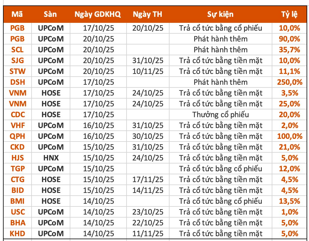 Lịch chốt quyền cổ tức 13/10– 17/10: Cổ tức tiền mặt cao nhất 100%, một "đại gia" chuẩn bị chi gần 6.000 tỷ đồng trả cổ tức - Ảnh 1