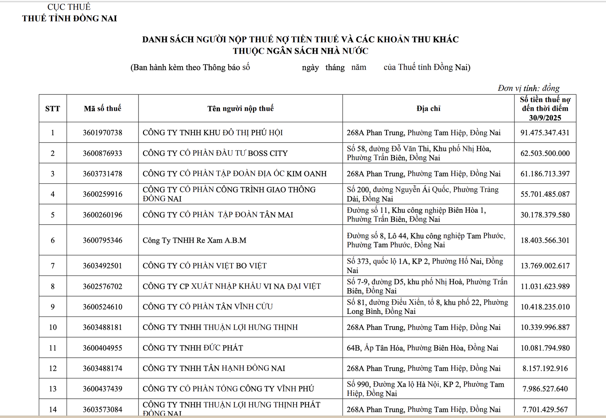 Đồng Nai công khai danh sách doanh nghiệp nợ thuế - Ảnh 1