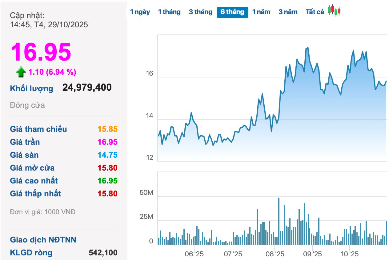 Điều gì đang xảy ra với cổ phiếu Hoàng Anh Gia Lai của Bầu Đức? - Ảnh 1