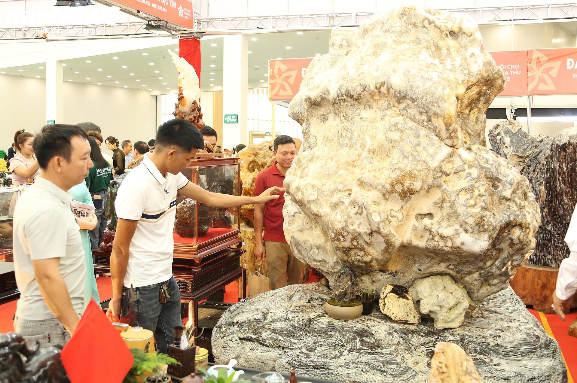 Khách tò mò ngắm san hô, gỗ hóa thạch trăm triệu tuổi, giá tiền tỷ - Ảnh 2