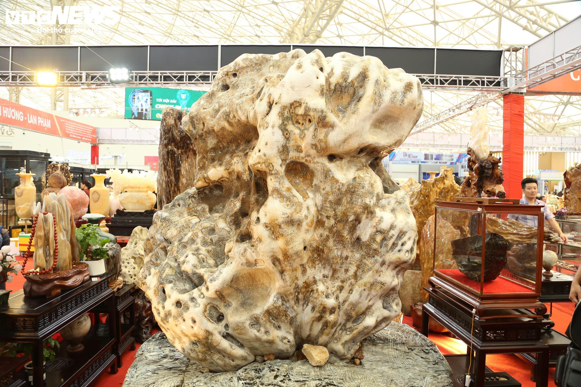 Khách tò mò ngắm san hô, gỗ hóa thạch trăm triệu tuổi, giá tiền tỷ - Ảnh 3