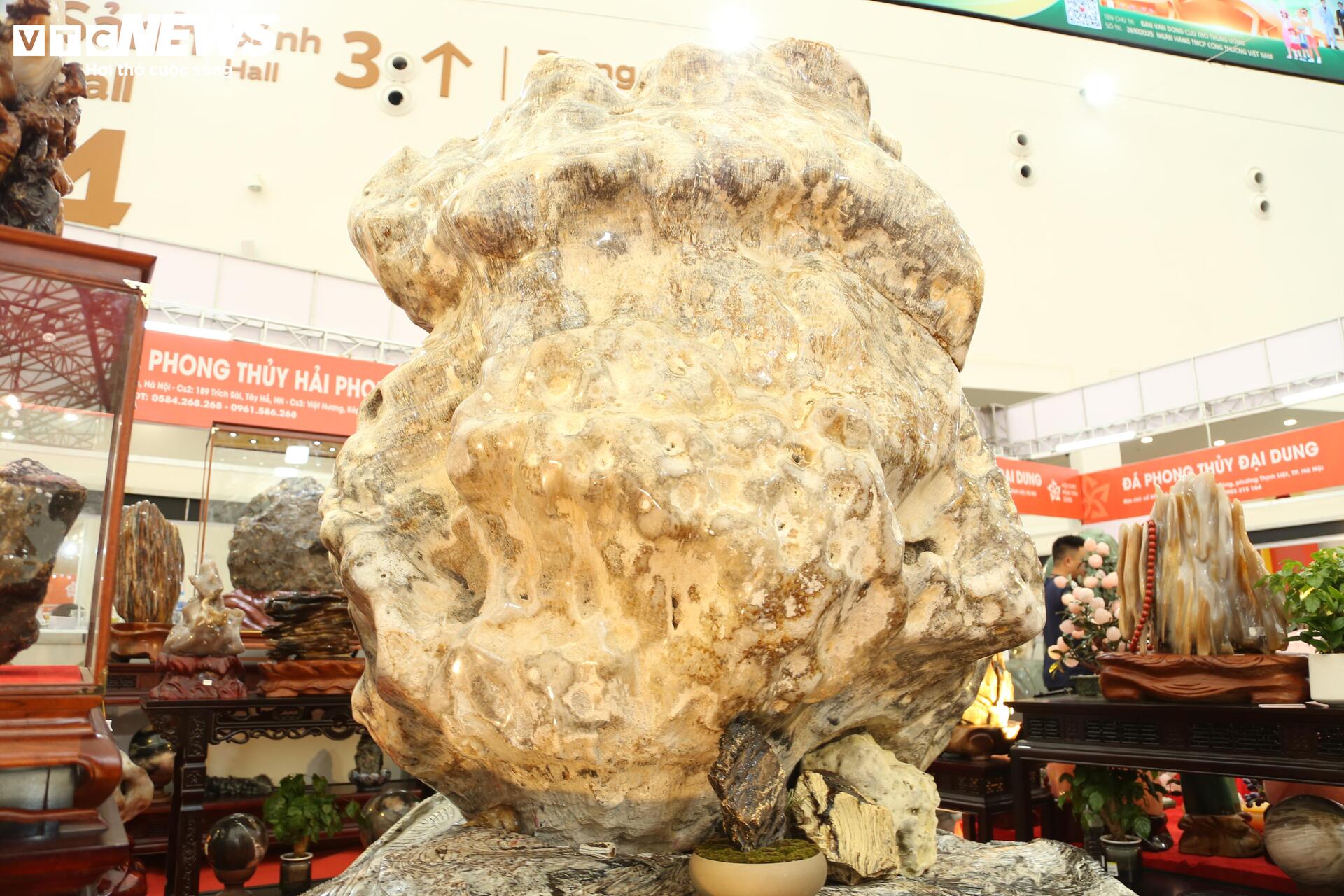 Khách tò mò ngắm san hô, gỗ hóa thạch trăm triệu tuổi, giá tiền tỷ - Ảnh 4