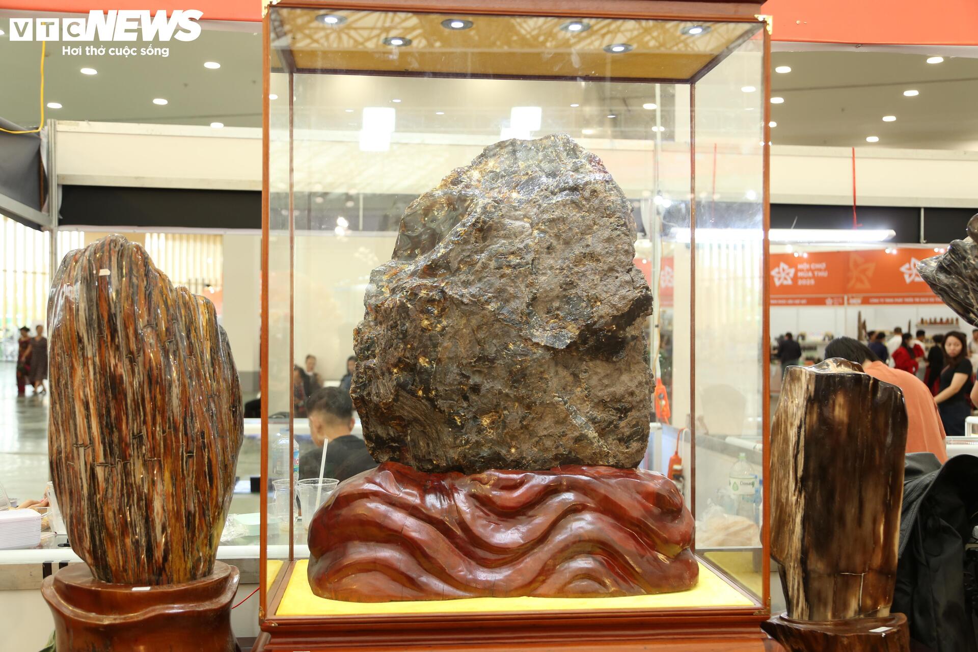 Khách tò mò ngắm san hô, gỗ hóa thạch trăm triệu tuổi, giá tiền tỷ - Ảnh 9