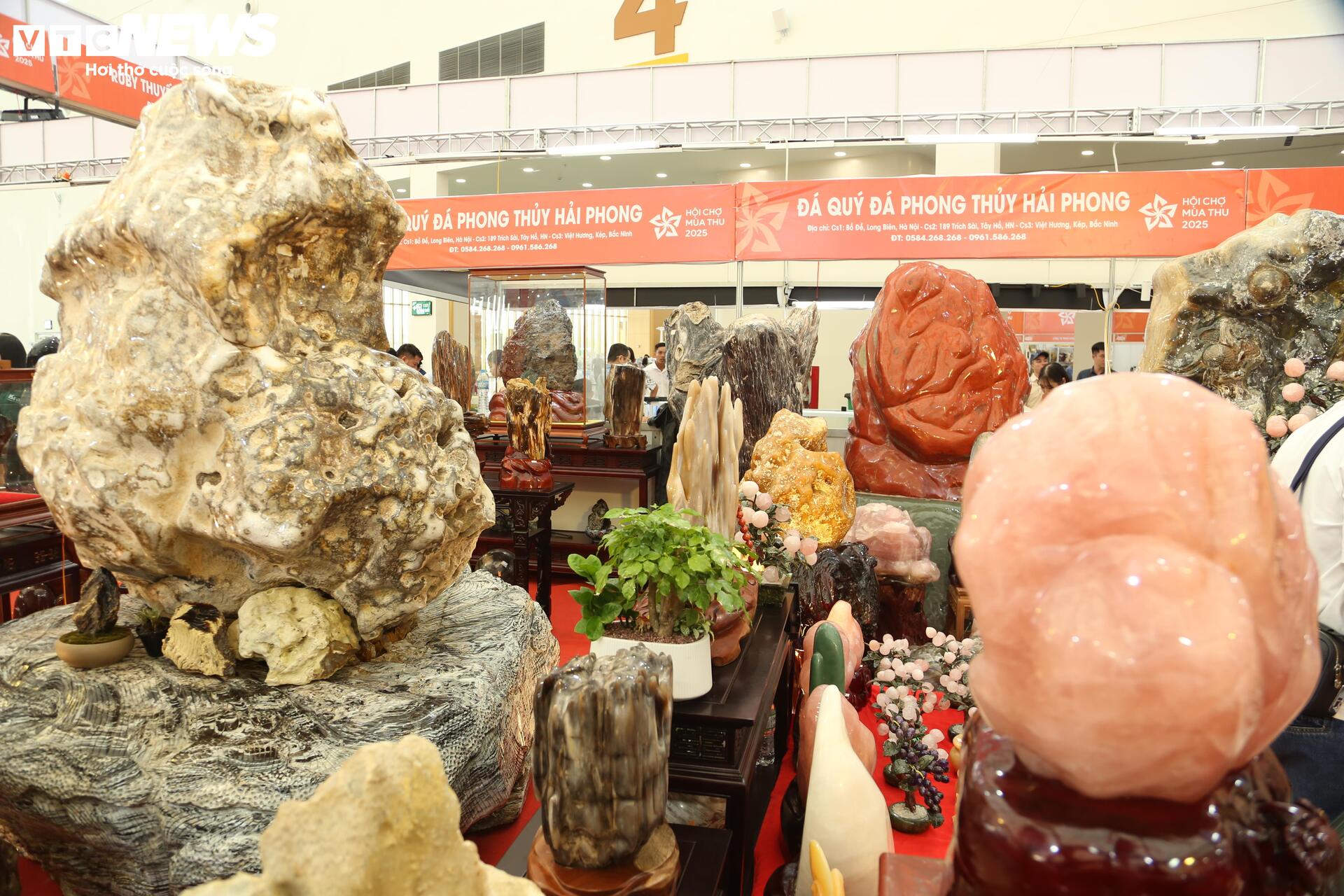 Khách tò mò ngắm san hô, gỗ hóa thạch trăm triệu tuổi, giá tiền tỷ - Ảnh 6