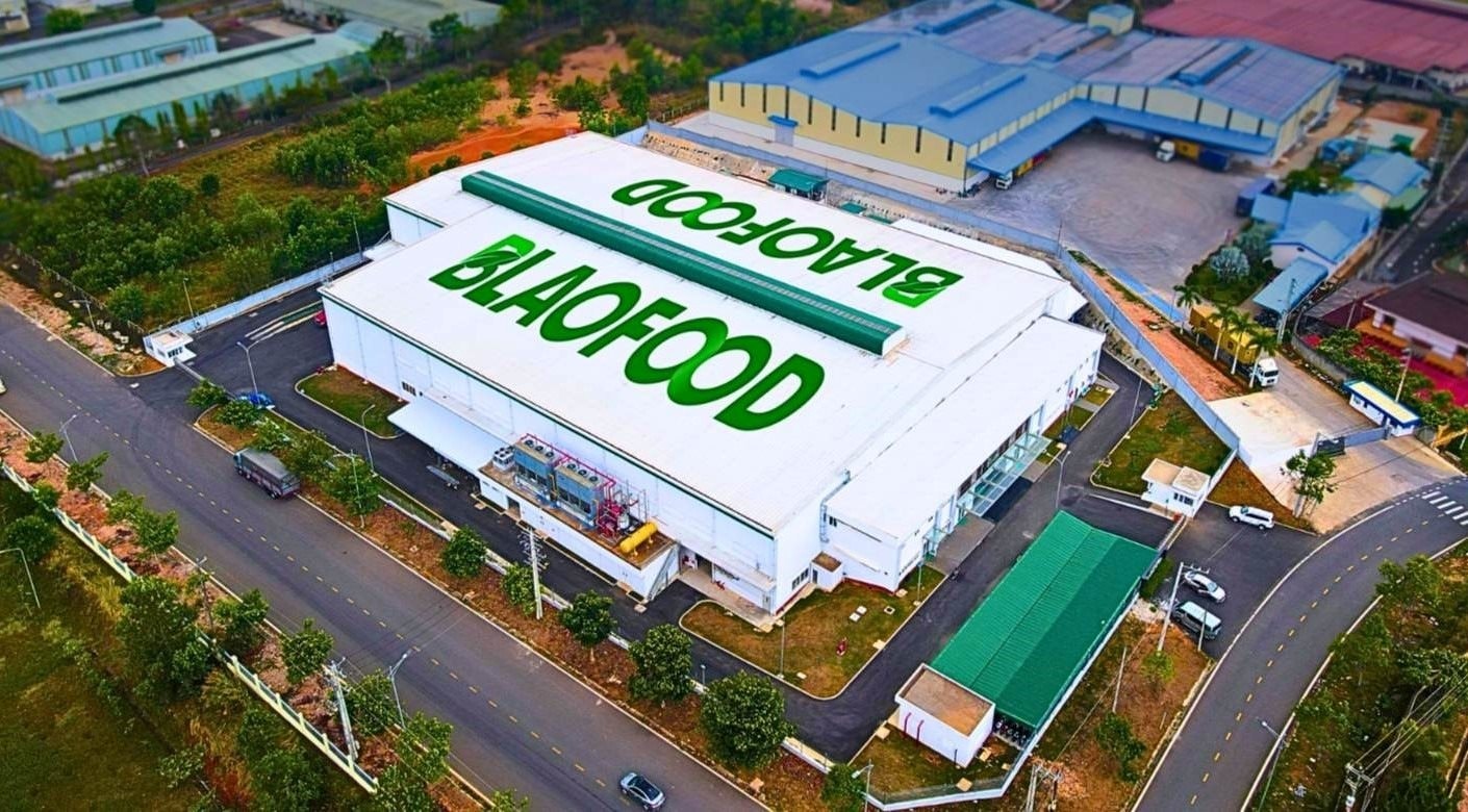 Công ty Việt Nam đầu tiên xuất khẩu rau củ đông lạnh muốn niêm yết trên HOSE, giá cổ phiếu vượt đỉnh lịch sử - Ảnh 1