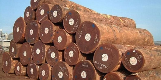 Việt Nam vừa vận hành nhà máy sản xuất 'vàng xanh' quy mô nhất thế giới: Là mặt hàng cả thế giới đều cần, quy mô thị trường hàng chục tỷ USD - Ảnh 1