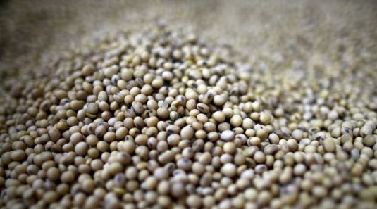 Mất khách Trung Quốc, Mỹ lập tức có cứu tinh mới cho mặt hàng chiến lược: Nhu cầu gần 4 triệu tấn mỗi năm, sản lượng nội địa rất thấp - Ảnh 1