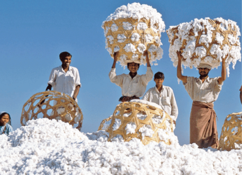 'Khách ruột' Mỹ chi hơn 13 tỷ USD chốt đơn mặt hàng này của Việt Nam, 66 quốc gia khác đua nhau săn mua - Ảnh 1