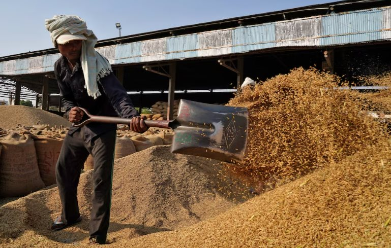 Giá gạo sắp thêm áp lực: Vựa lúa của thế giới vừa thu hoạch kỷ lục 146 triệu tấn, nhắm đến 26 thị trường tiềm năng bao gồm cả Việt Nam - Ảnh 1