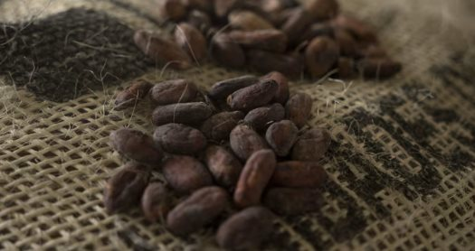 Sốt giá suốt 2 năm liên tiếp, giá loại hạt được gọi là 'thức ăn của các vị thần' bất ngờ rơi xuống thấp nhất 20 tháng - chuyện gì đang xảy ra? - Ảnh 1