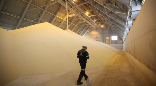 Campuchia vừa mua hơn 500.000 tấn hàng quan trọng từ Việt Nam: Được mệnh danh ‘cứu tinh’ của nông sản láng giềng, nước ta bỏ túi hơn 700 triệu USD - Ảnh 1