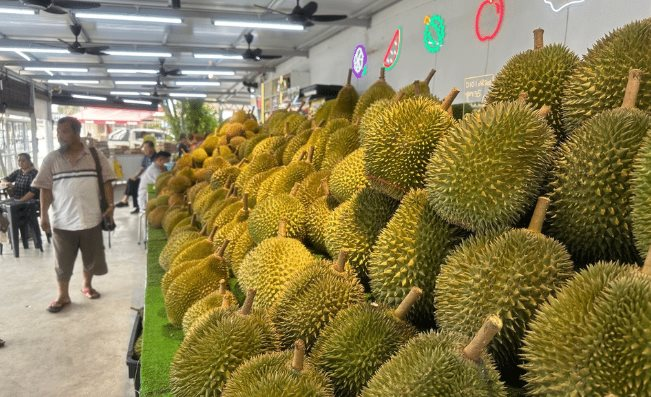 Một đối thủ sầu riêng của Thái Lan, Việt Nam rục rịch gia nhập thị trường Trung Quốc, chuyên gia khẳng định: Cần ít nhất 2 năm nữa để làm điều này - Ảnh 1