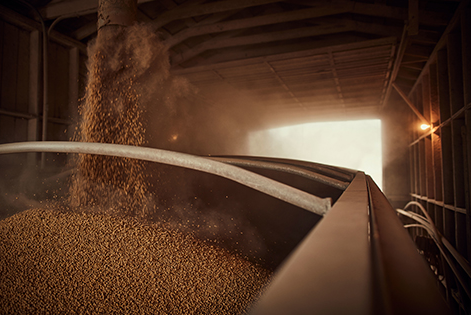 Trung Quốc đóng băng đơn hàng, Mỹ tăng mạnh đưa một loại ‘báu vật’ vào Việt Nam với giá rẻ bất ngờ: Thuế nhập khẩu 0%, nước ta mua hàng triệu tấn mỗi năm - Ảnh 1