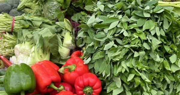 Giá rau xanh ở Hà Nội ‘nhảy múa’, đắt gấp đôi sau bão Bualoi