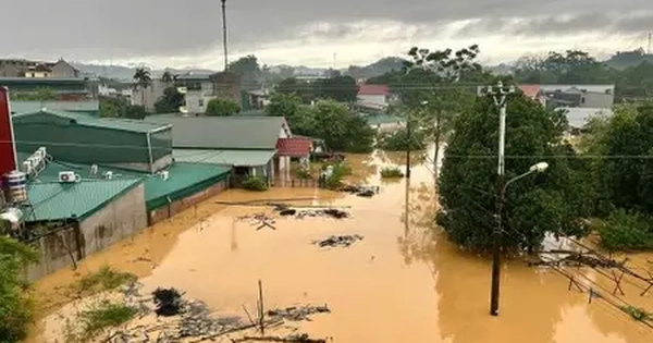 Khẩn trương báo cáo, bồi thường bảo hiểm thiệt hại bão số 10
