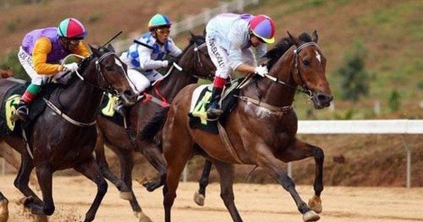 Loạt cổ đông “chung vốn” vào công ty tài sản mã hóa bất ngờ “đua trần” phiên đầu tháng 10