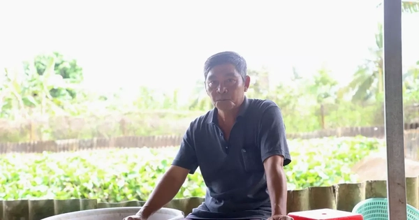 Người nông dân ở Cần Thơ nuôi con gì mà trở thành xuất sắc nhất Việt Nam?