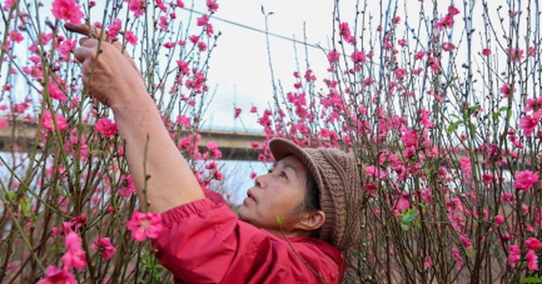 Đề xuất nghỉ Tết Nguyên đán 2026 kéo dài 9 ngày