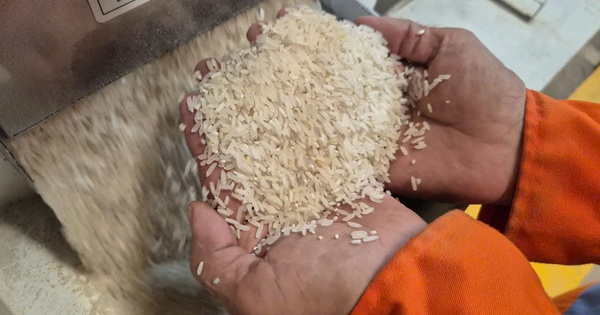Việt Nam nhập gạo nhiều thứ 2 thế giới