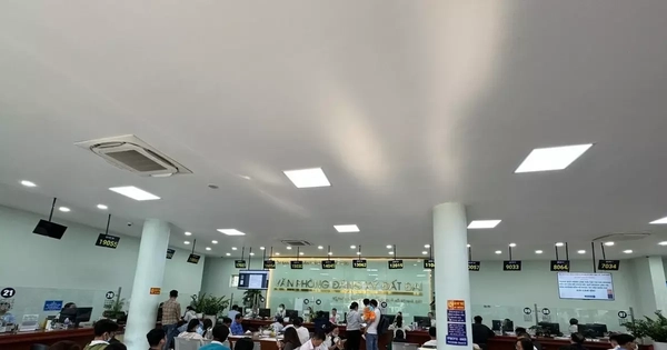 Sau sáp nhập, Văn phòng đăng ký đất đai TPHCM hoạt động thế nào?