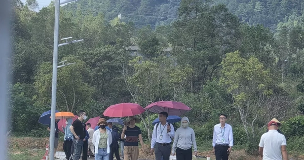 Dựng dự án 'ảo' phân lô bán nền, doanh nghiệp bị phạt hơn nửa tỷ đồng