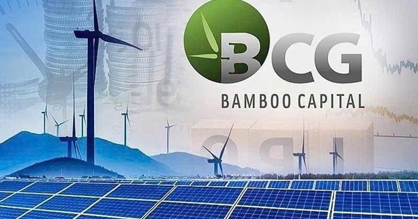 Bamboo Capital và Tracodi xin lỗi cổ đông