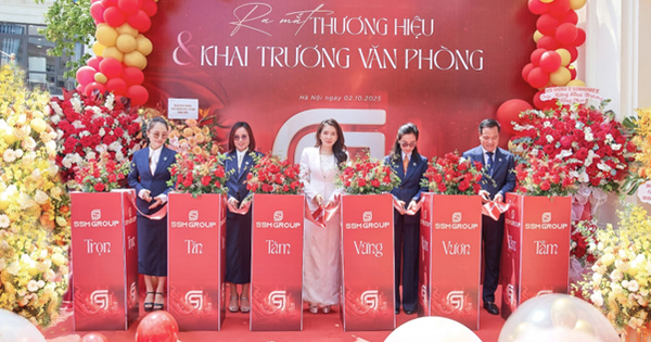 Một doanh nghiệp BĐS mới thành lập, chuyên bán hàng Vinhomes ồ ạt khai trương 10 văn phòng khắp cả nước