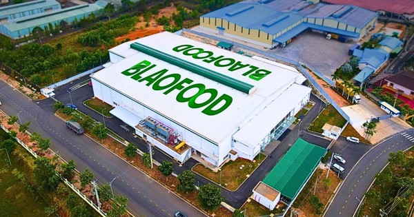 Công ty Việt Nam đầu tiên xuất khẩu rau củ đông lạnh muốn niêm yết trên HOSE, giá cổ phiếu vượt đỉnh lịch sử