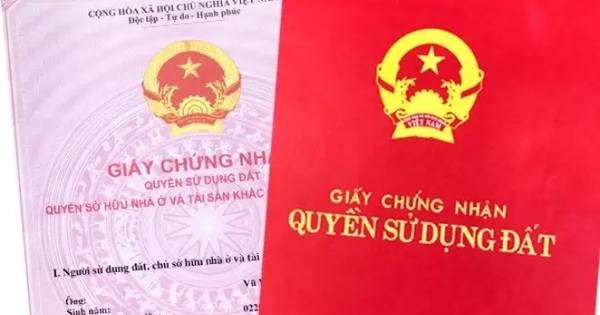 Hơn 2 triệu trường hợp thiếu thông tin đất đai sau hợp nhất, TPHCM kêu gọi phối hợp