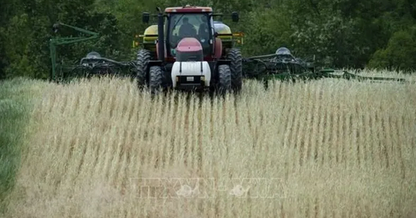 Mỹ sắp công bố gói hỗ trợ lớn cho nông dân chịu tác động từ chiến tranh thương mại