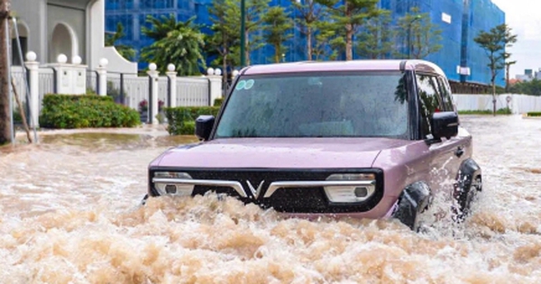 Sở Xây dựng Hà Nội 'đặc biệt rút kinh nghiệm' sau bão Bualoi, chuẩn bị ứng phó bão số 11