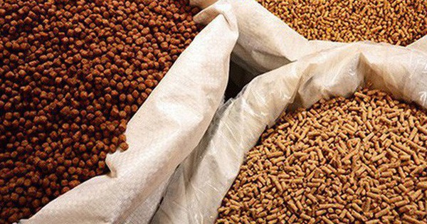 Một mỏ vàng mới nổi của Việt Nam được Campuchia tích cực săn lùng: là cứu tinh cho chăn nuôi, nước ta đứng thứ 8 thế giới về sản lượng