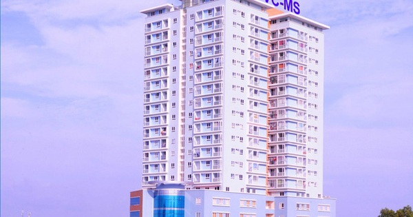 PVC - MS nợ bảo hiểm, bị kiểm toán nghi ngờ về khả năng hoạt động liên tục