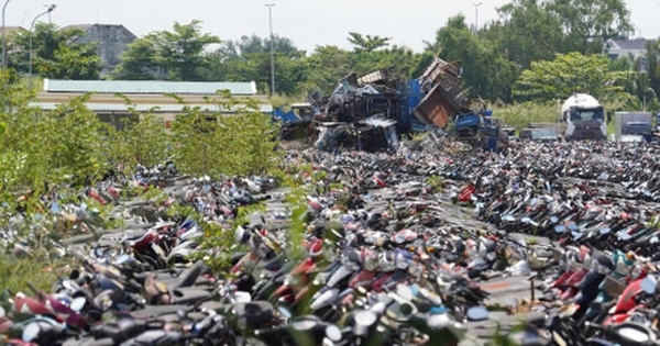 TP.HCM đấu giá thành công hơn 1.600 phương tiện vi phạm, thu hơn 3 tỷ đồng